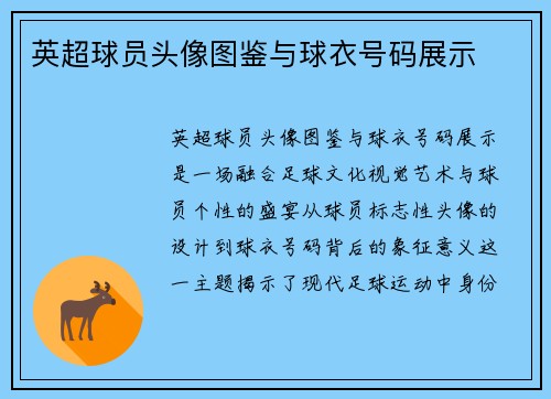 英超球员头像图鉴与球衣号码展示